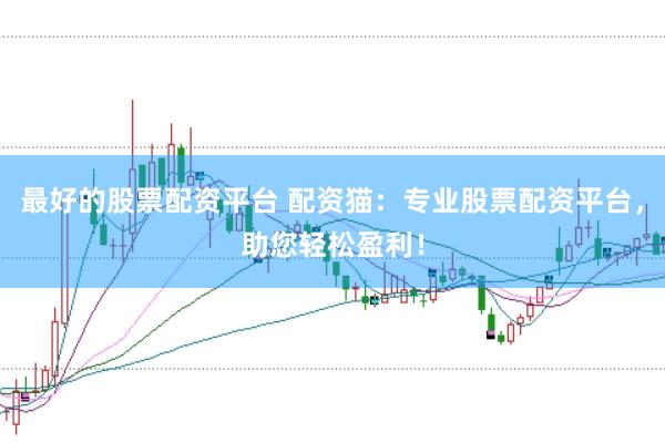 最好的股票配资平台 配资猫：专业股票配资平台，助您轻松盈利！