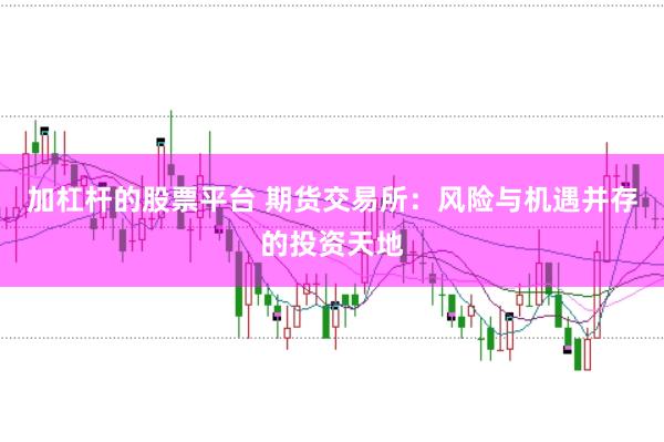 加杠杆的股票平台 期货交易所：风险与机遇并存的投资天地