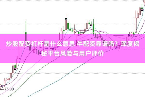 炒股配资杠杆是什么意思 牛配资靠谱吗？深度揭秘平台风险与用户评价