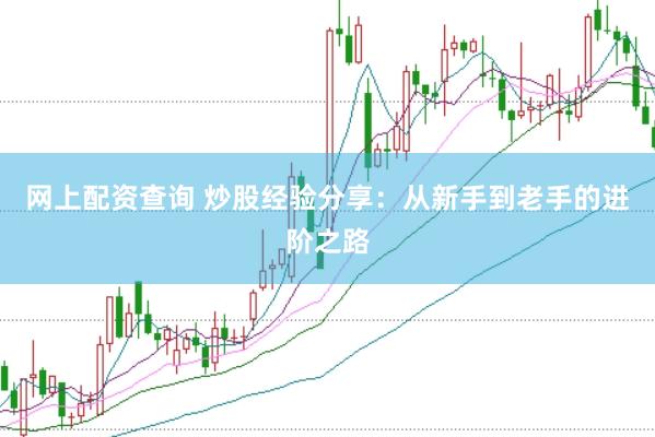 网上配资查询 炒股经验分享：从新手到老手的进阶之路