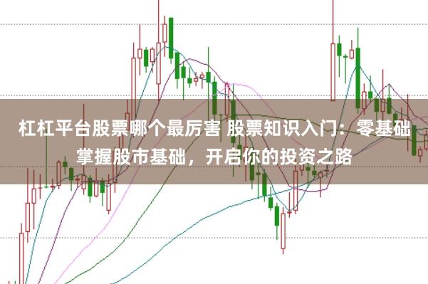 杠杠平台股票哪个最厉害 股票知识入门：零基础掌握股市基础，开启你的投资之路