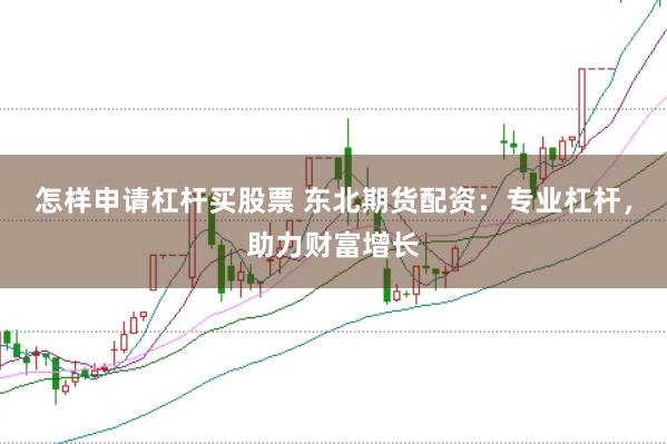 怎样申请杠杆买股票 东北期货配资：专业杠杆，助力财富增长