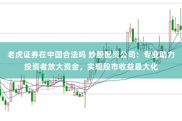 老虎证券在中国合法吗 炒股配资公司：专业助力投资者放大资金，实现股市收益最大化