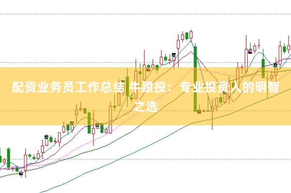 配资业务员工作总结 牛跟投：专业投资人的明智之选