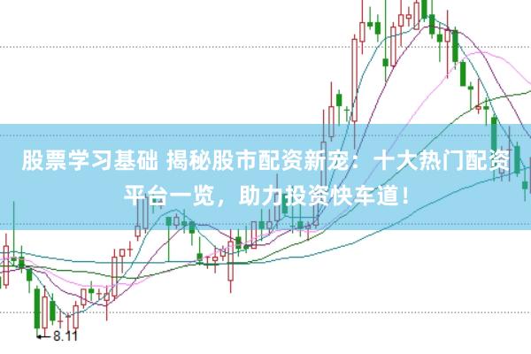 股票学习基础 揭秘股市配资新宠：十大热门配资平台一览，助力投资快车道！