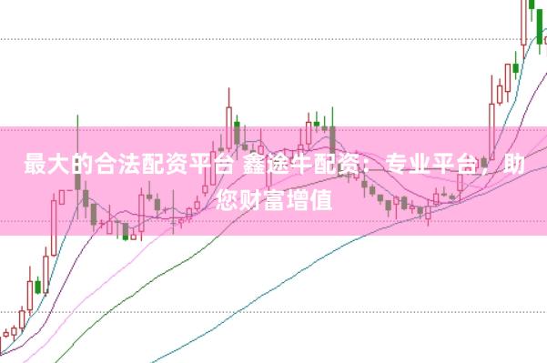 最大的合法配资平台 鑫途牛配资：专业平台，助您财富增值