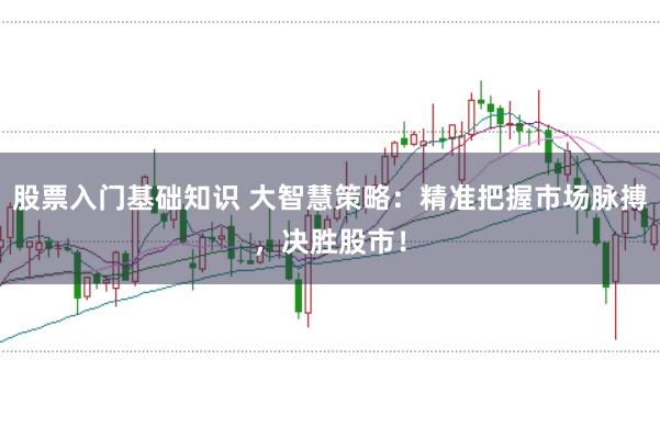 股票入门基础知识 大智慧策略：精准把握市场脉搏，决胜股市！