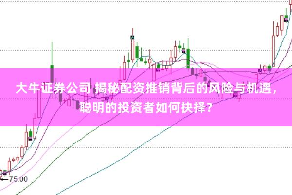 大牛证券公司 揭秘配资推销背后的风险与机遇，聪明的投资者如何抉择？