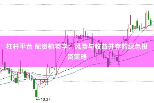 杠杆平台 配资植物学：风险与收益并存的绿色投资策略