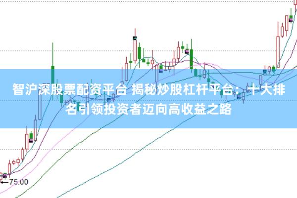 智沪深股票配资平台 揭秘炒股杠杆平台：十大排名引领投资者迈向高收益之路