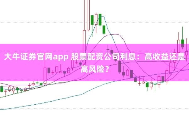 大牛证券官网app 股票配资公司利息:高收益还是高风险?