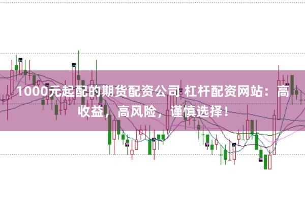 1000元起配的期货配资公司 杠杆配资网站:高收益,高风险,谨慎选择!