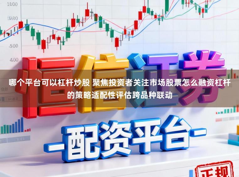 哪个平台可以杠杆炒股 聚焦投资者关注市场股票怎么融资杠杆的策略适配性评估跨品种联动