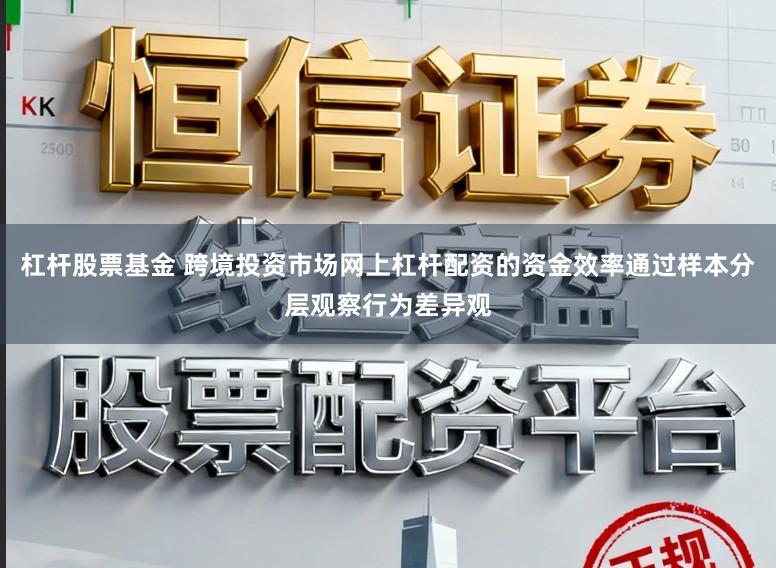 杠杆股票基金 跨境投资市场网上杠杆配资的资金效率通过样本分层观察行为差异观