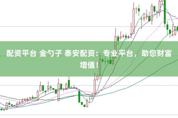 配资平台 金勺子 泰安配资：专业平台，助您财富增值！
