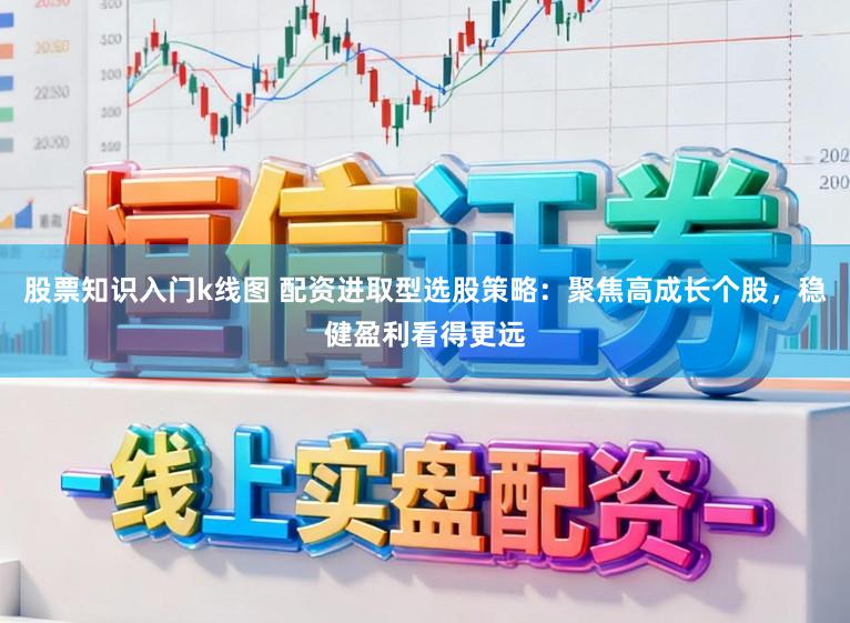 股票知识入门k线图 配资进取型选股策略：聚焦高成长个股，稳健盈利看得更远